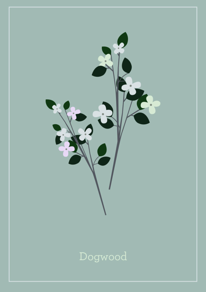 Dogwood_flower_web-723x1024.jpg